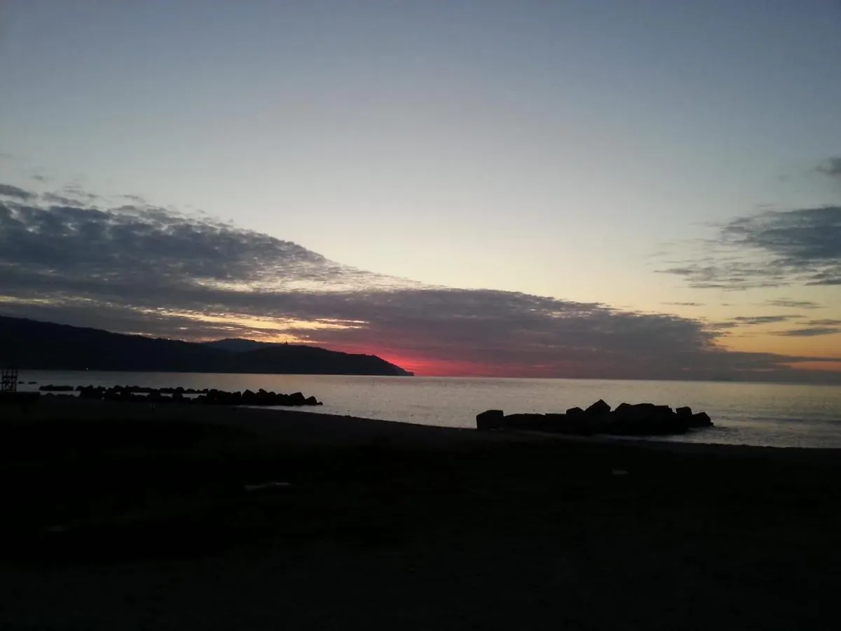 Casamare contacts